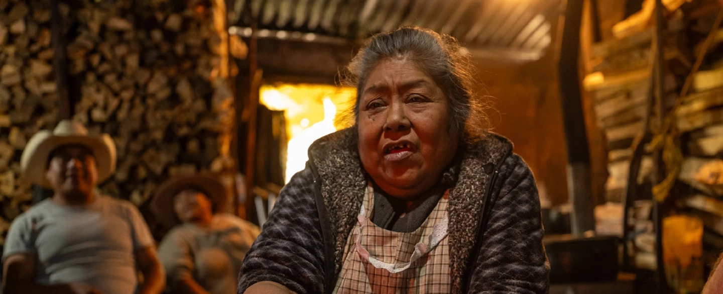 Day Trip from Mexico City to Nahuatl-speaking indigenous community for a living cultural experience.