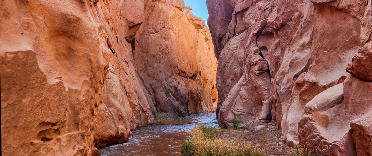 Salt Mountain Canyon Hike near San Pedro de Atacama: slot canyons, petroglyphs, and expert guide.