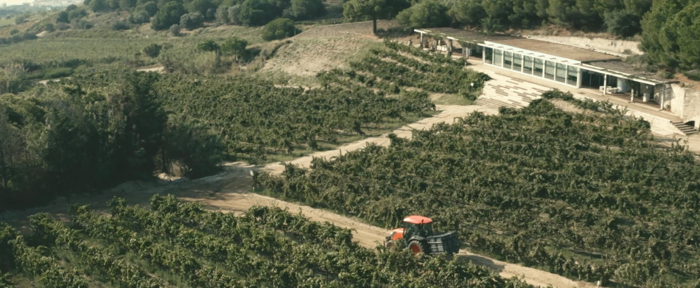 Wine Tour from Barcelona with boat arrival, sea-influenced wines, scenery, sunset dinner or brunch.