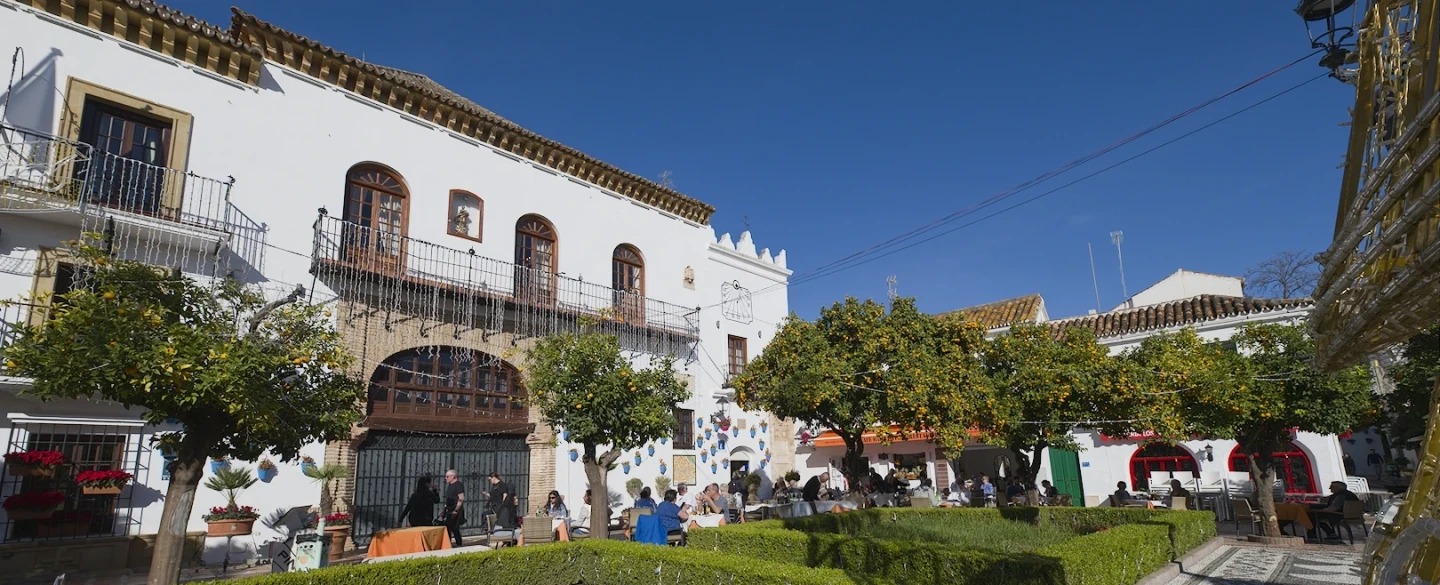 Marbella Day Trip from Malaga exploring Roman mosaics, Islamic medina, Golden Mile on Costa del Sol.