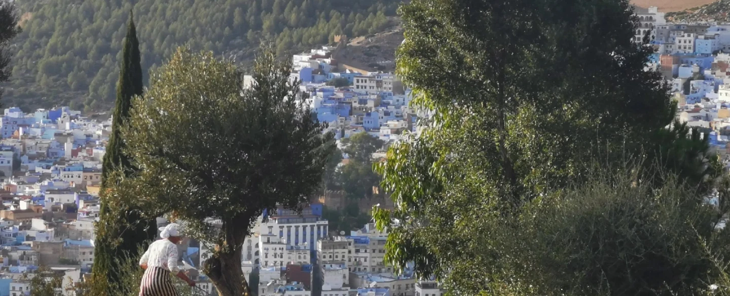 Hiking Tour in the Chefchaouen hills, farm visit and meal with a local family, 2 hours from Tangier.