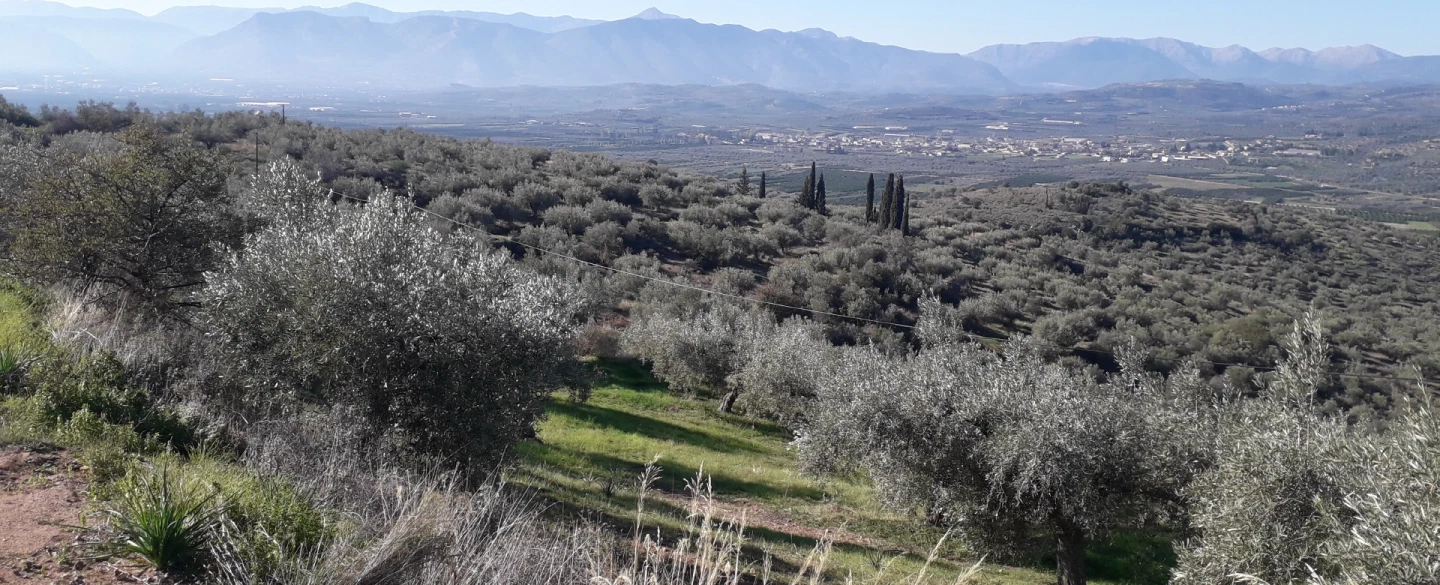 Archaeological Tour in Mycenae as day trip from Nafplio or Athens with ruins, tombs & a hiking tour.