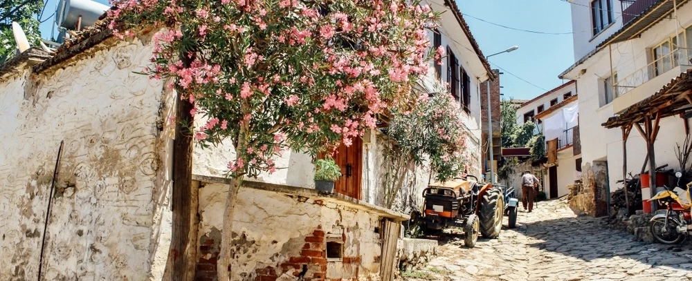 Wine Tour from Kuşadası or İzmir: Tastings & vineyard walk in boutique estates in Selçuk & Torbalı.