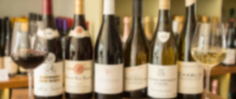 Private Wine Tasting in Porto: Vinho Verde, Douro and Trás-os-Montes with a winemaker-sommelier.