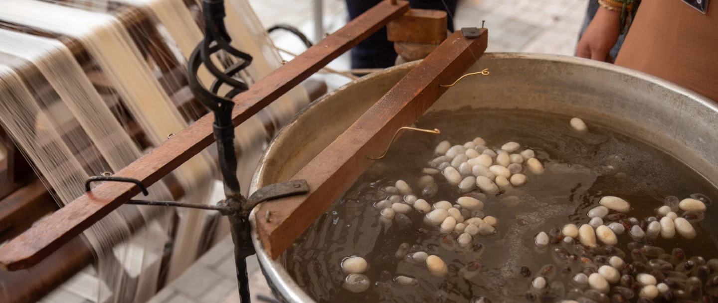 Textile Tour from Istanbul to Bursa exploring Ottoman silk farms, workshops, and historic markets.