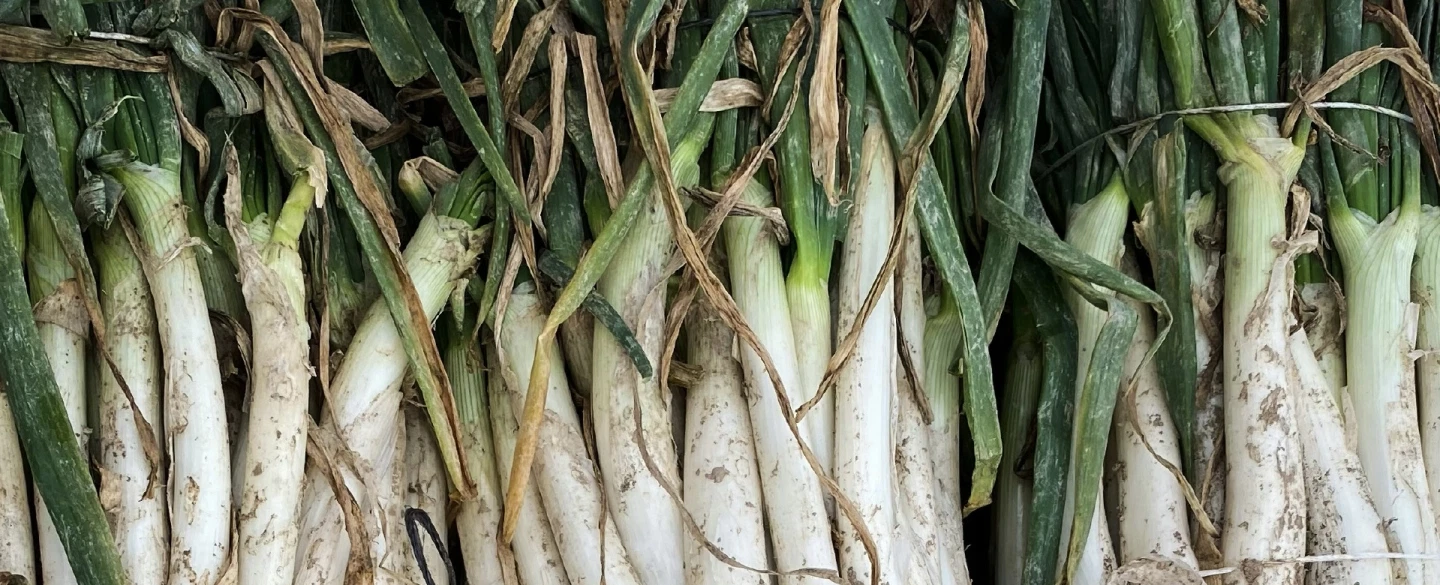 Seasonal Food Tour from Barcelona with countryside calçot feast & Santes Creus Monastery visit.
