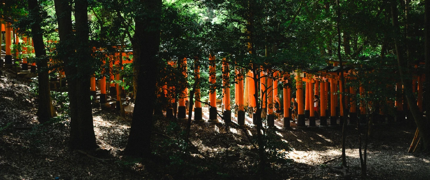 Kyoto Walking Tour: early morning Fushimi Inari, 3 Buddhist temples — one UNESCO, two rarely visited