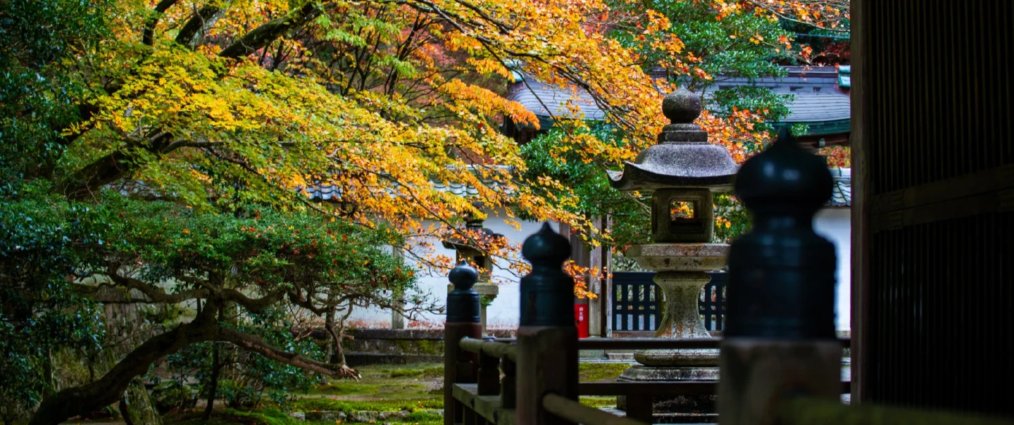 Guided walk on Kyoto's Mt. Hiei — Enryaku-ji, cradle of Japanese Buddhism, English-speaking guide.