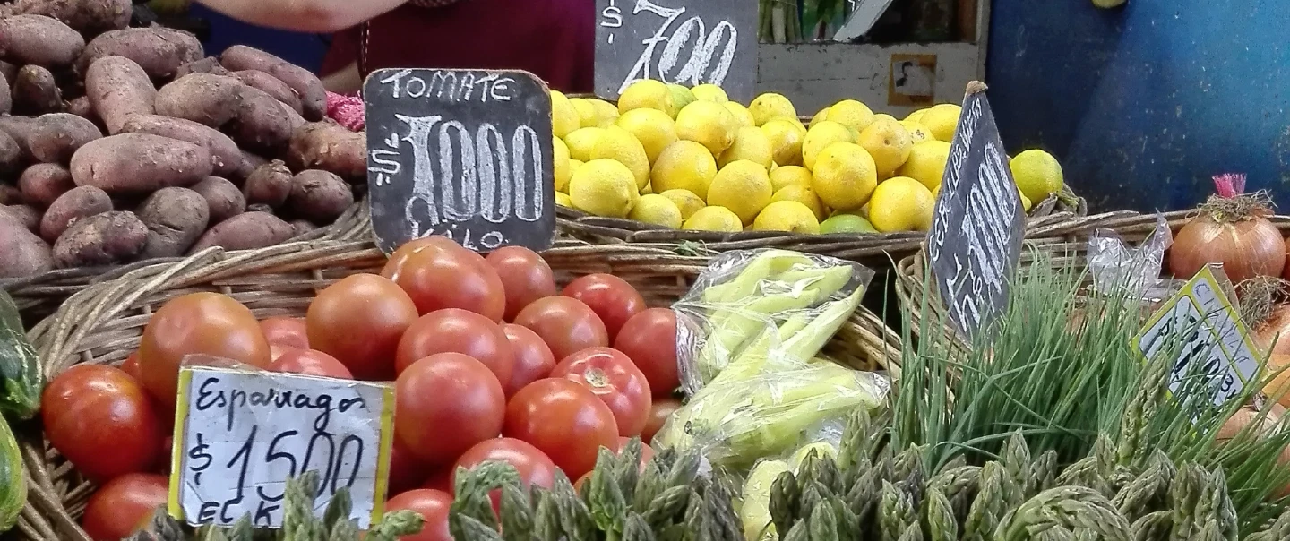 Food & Cooking Tour in Santiago, Chile: markets, seafood cocktail, gourmet home cooking in El Golf.