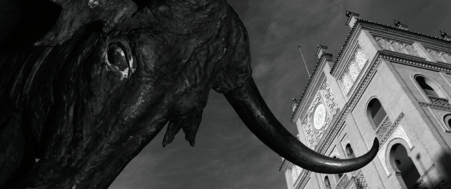 Photo Tour in Madrid, walking with a professional photographer who specializes in black and white.