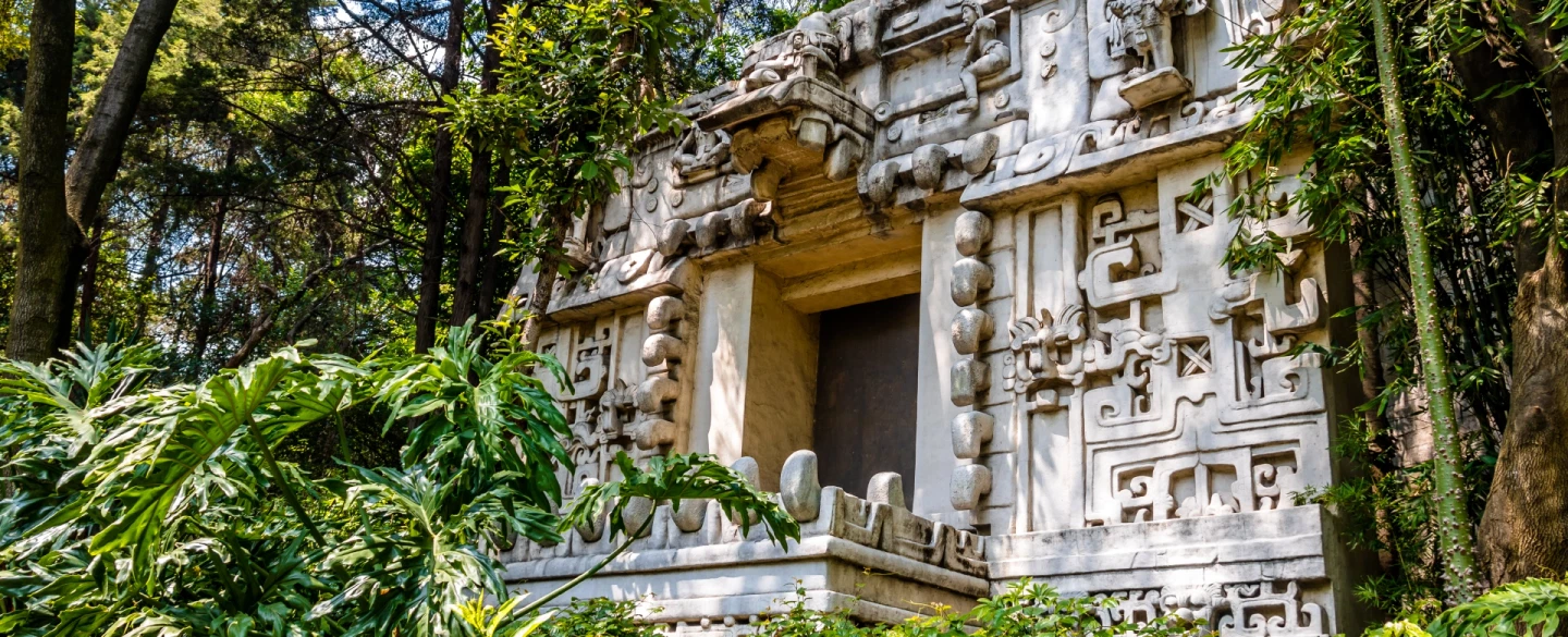 Chapultepec Museums Tour in Mexico City: Anthropology Museum, Chapultepec Castle or Tamayo Art.