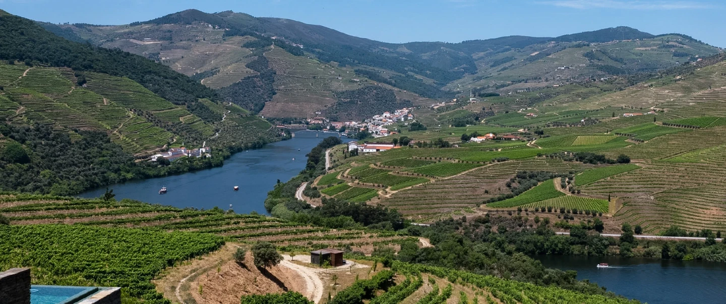 Day Trip in Douro Valley: river boat cruise, wine & gin tastings, picnic lunch in an estate.