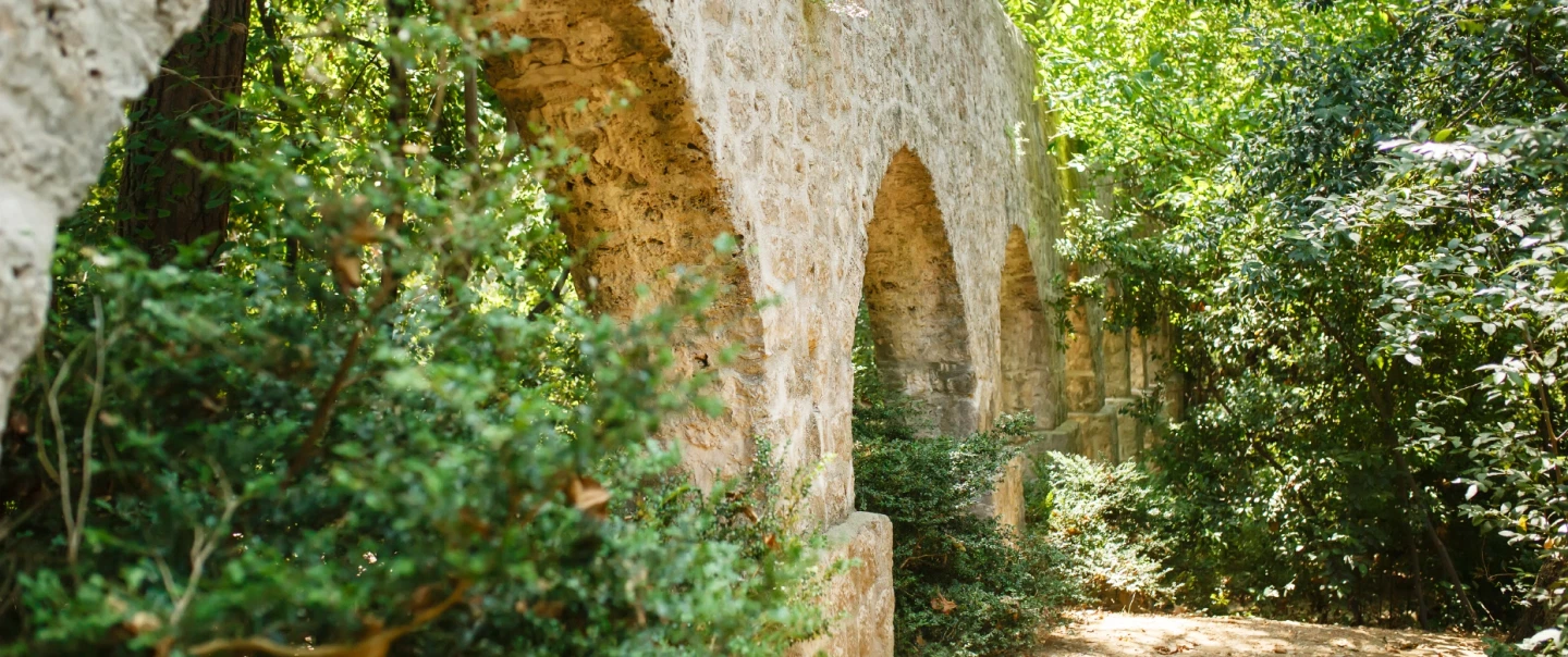Family-Friendly Nature Walking Tour near Dubrovnik: Trsteno Botanic Garden, olive oil mill, picnic.