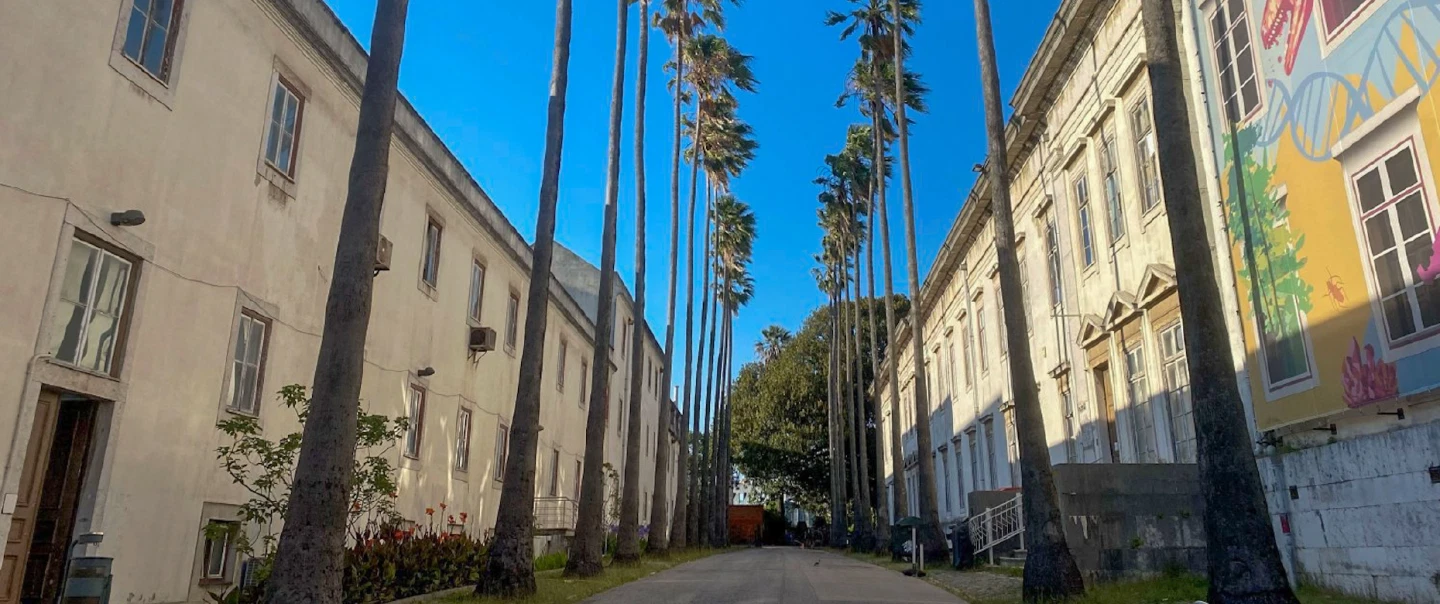 Art Tour in Lisbon to sketch secret viewpoints on a family-friendly walk with Chiado art shop stops.
