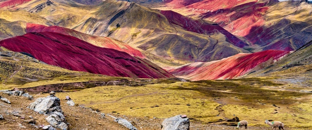 Cultural Hiking Tour to Palccoyo Rainbow Mountain with Pachamama ceremony as a day trip from Cusco.