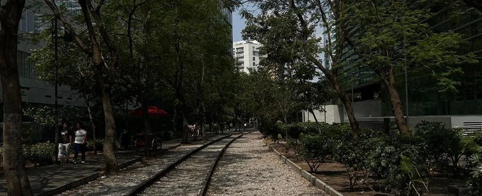 Photoshoot Tour with pastries and portraits in Polanco, Mexico City’s chic & stylish café district.