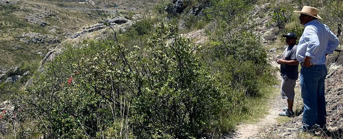 Hiking Tour from Oaxaca to UNESCO Zapotec caves with ancient corn history and local tlayuda lunch.