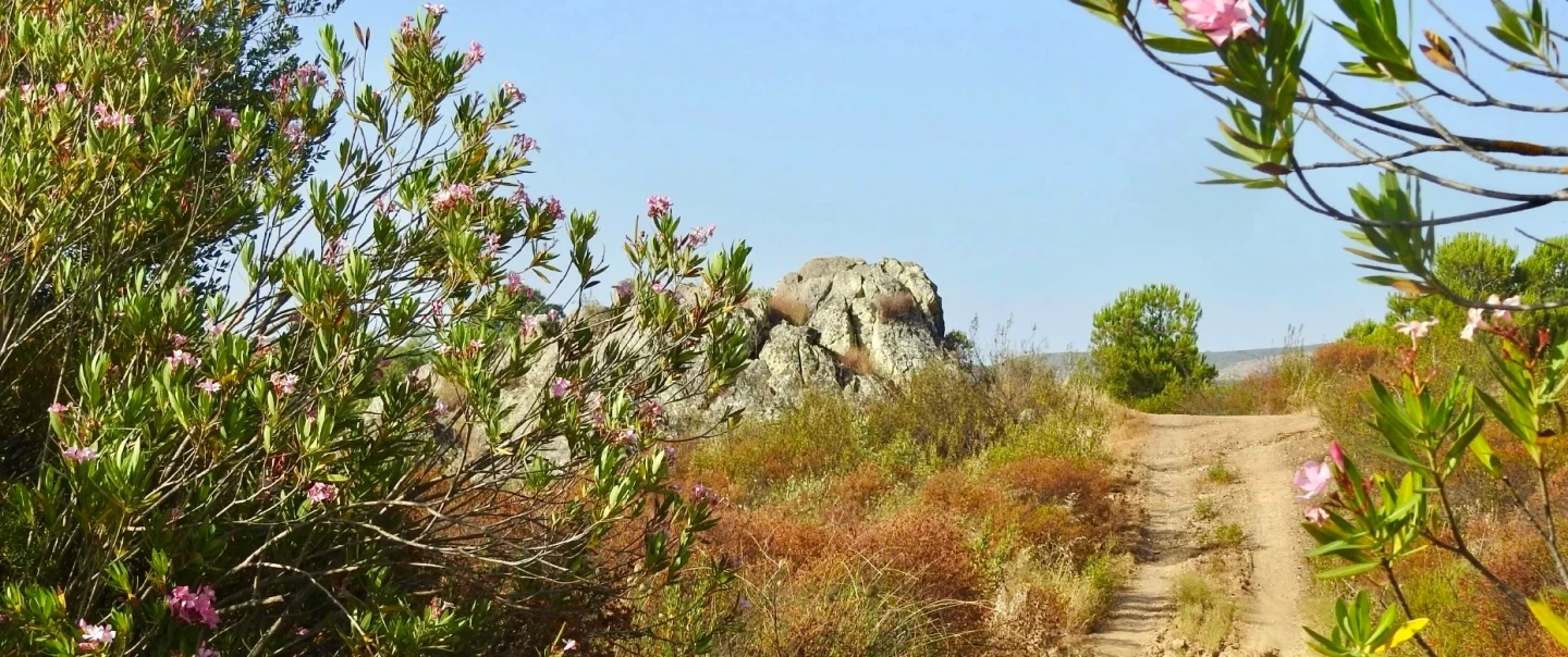Alentejo Nature Hiking Tour in Mértola near Évora with a naturalist exploring Iberian lynx habitats.