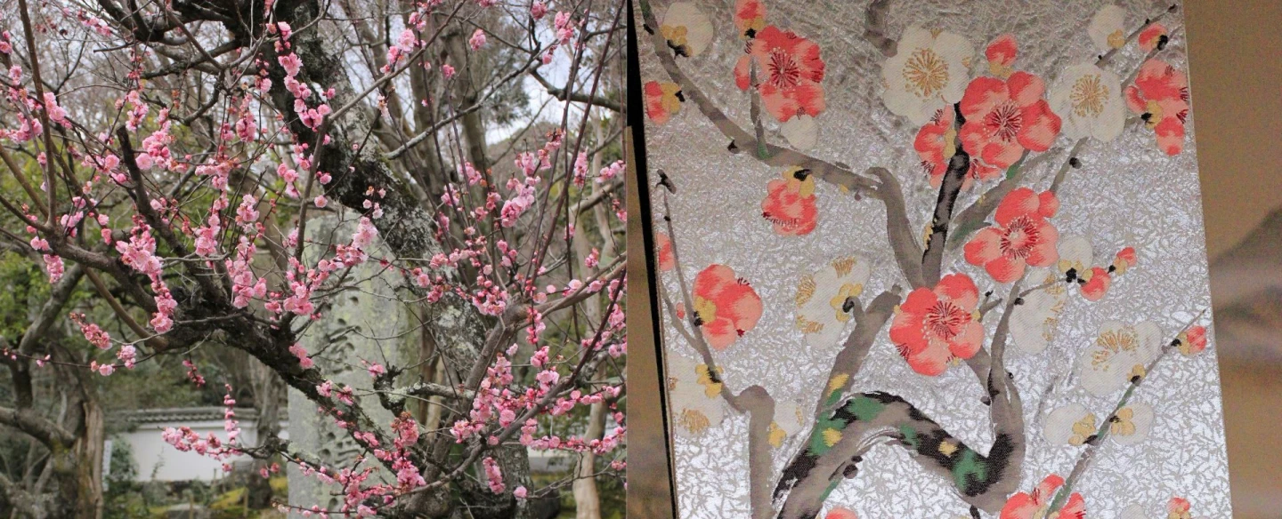 Kyoto walking tour and craft experience in quiet Zen garden and silk obi upcycled into an accessory.