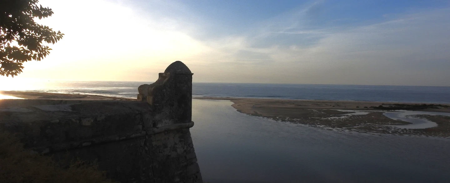 Birdwatching Tour in Ria Formosa and Castro Marim, wetlands of Eastern Algarve, with a naturalist. 