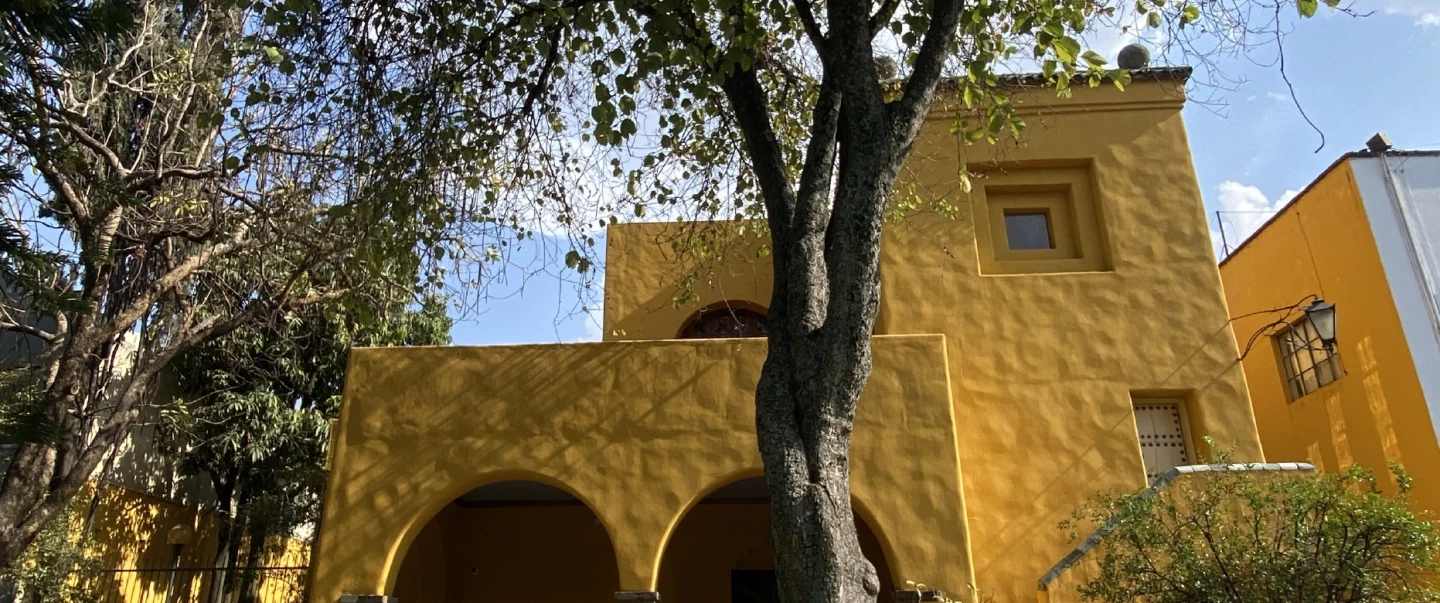Walking tour of Guadalajara’s Chapu and Americana with food, fashion, design shops, gallery visit.