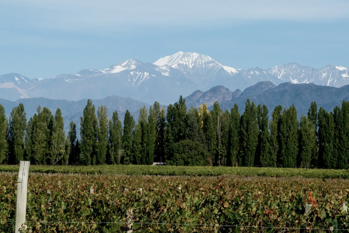 A road trip itinerary across the Andes from Santiago and Valparaíso to Mendoza wine country.