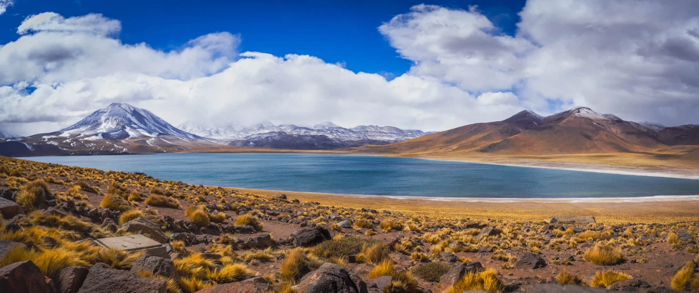 Socaire Weaving and Altiplano Lagoons Tour: cactus weaving demo and gentle trek at highland lakes.