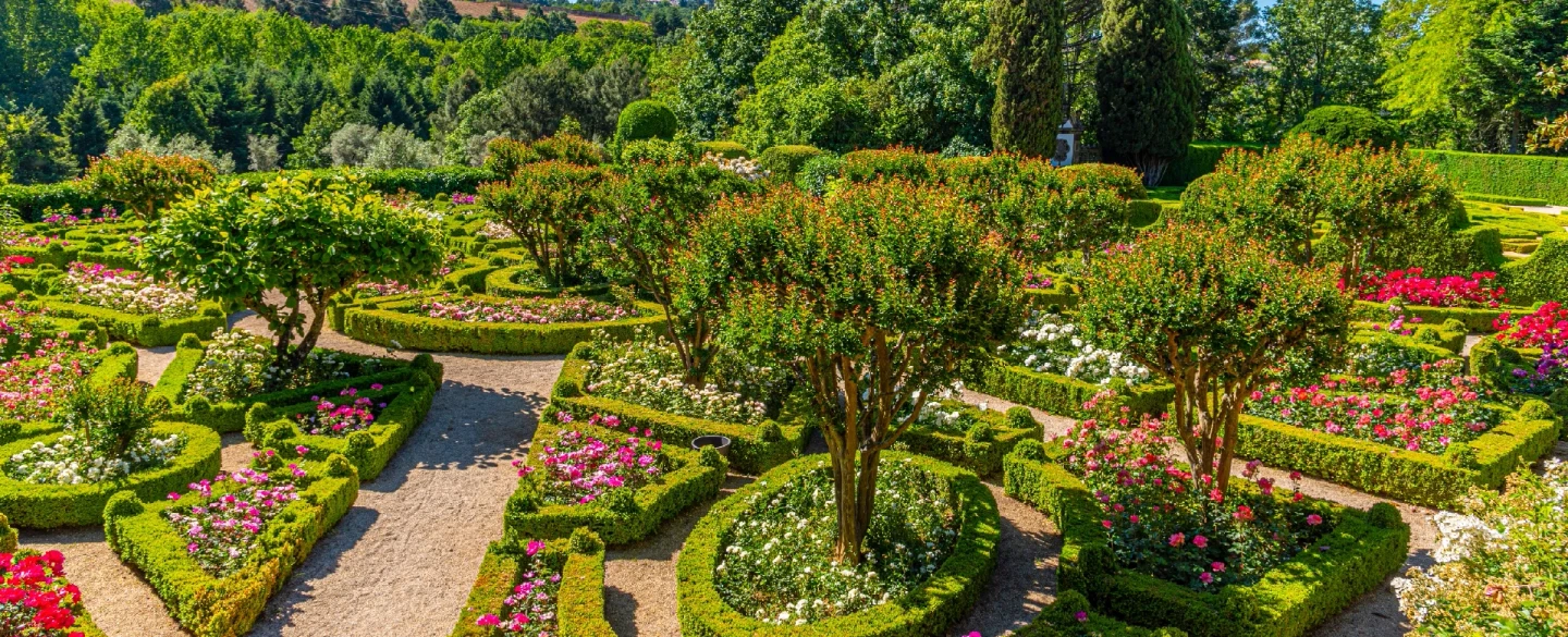 Douro Valley Dinner Tour: After-hours Mateus Palace exclusive visit and dinner inside the estate.