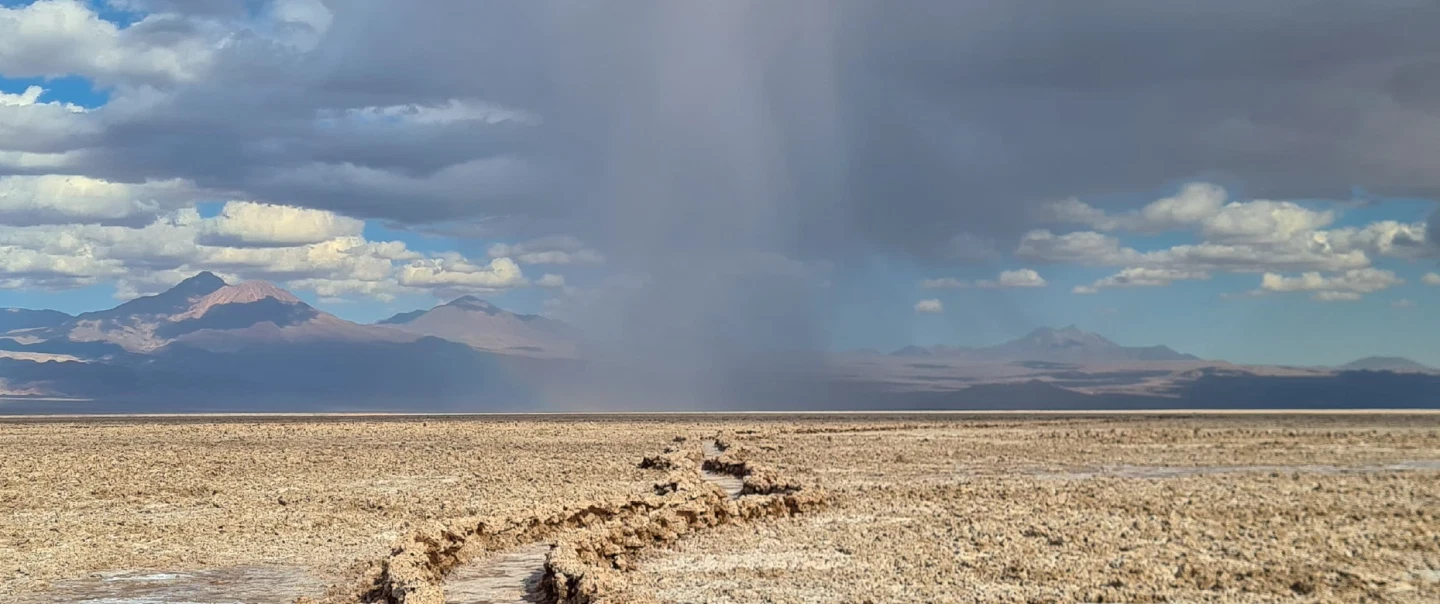 Bird Watching Tour from San Pedro: flamingos in Atacama Salt Flat and oasis birds in Jere Canyon.