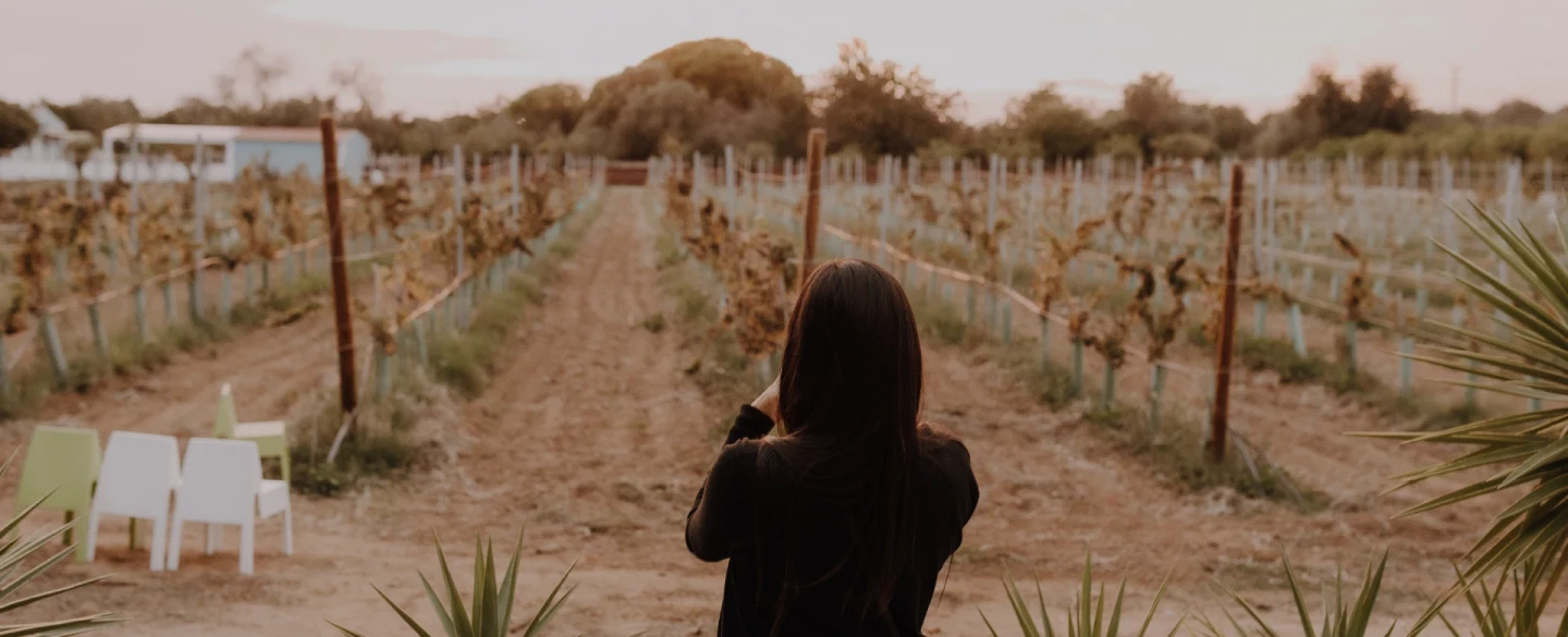 Algarve Rural Tour with cork factory visit, regional wine tasting and vineyard picnic near Faro.