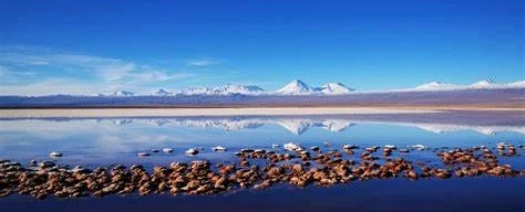 4-day Photo Safari of lagoons, canyons, geyser, wildlife in Atacama Desert from San Pedro de Atacama