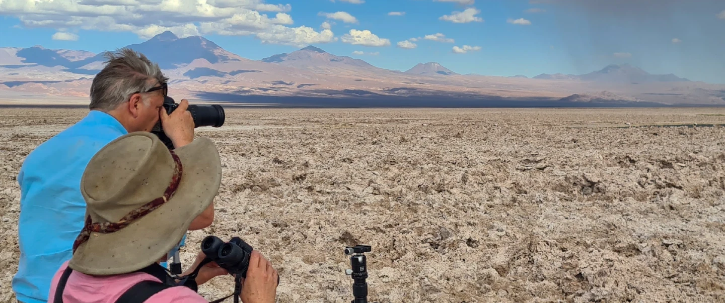 Bird Watching Tour from San Pedro: flamingos in Atacama Salt Flat and oasis birds in Jere Canyon.