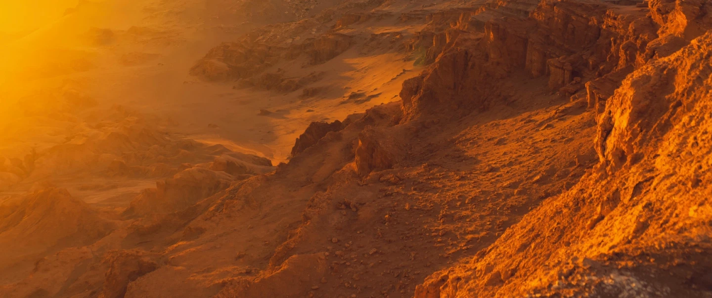 4-day Photo Safari of lagoons, canyons, geyser, wildlife in Atacama Desert from San Pedro de Atacama