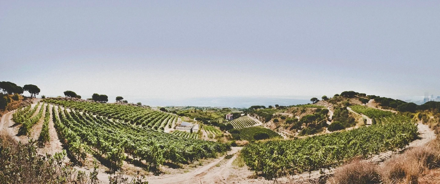 Wine Tour from Barcelona with boat arrival, sea-influenced wines, scenery, sunset dinner or brunch.