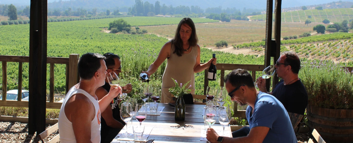 Wine Tour from Valparaíso to Casablanca Valley: a Day Trip with sommelier, tastings & pairing lunch.