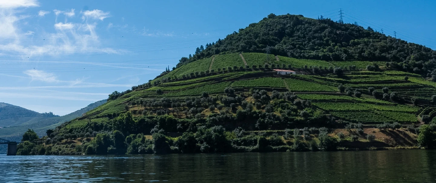 Douro Valley Tour with beekeeper featuring honey tasting, vineyard lunch, viewpoint and solar boat.