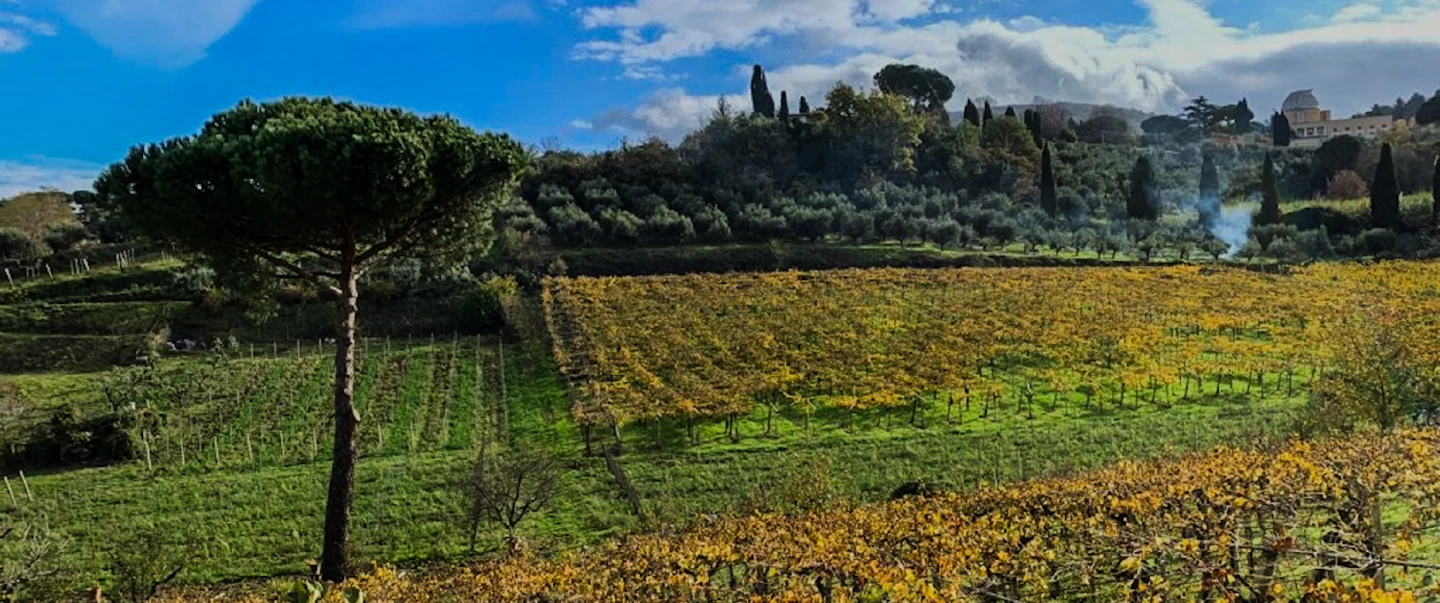 Wine Tasting from Rome with visit to a family-run low-intervention winery and countryside lunch.