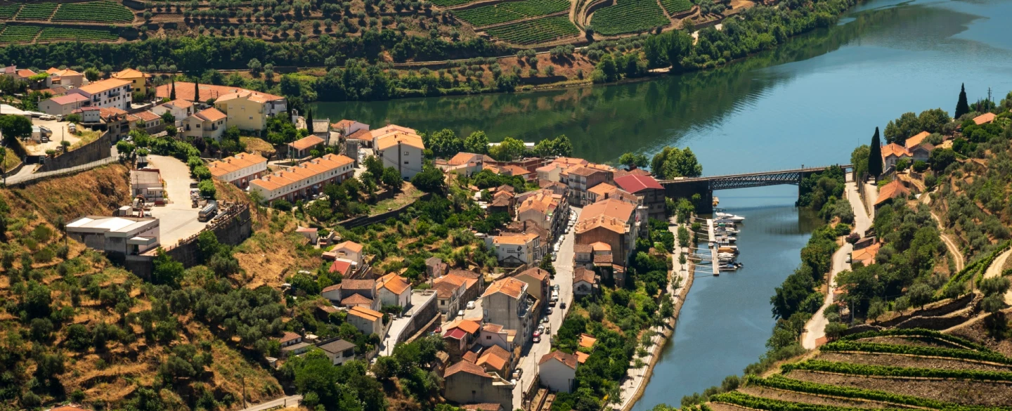 Douro Valley Tour from Porto, including Mateus Palace, honey tasting, vineyard lunch and boat ride.