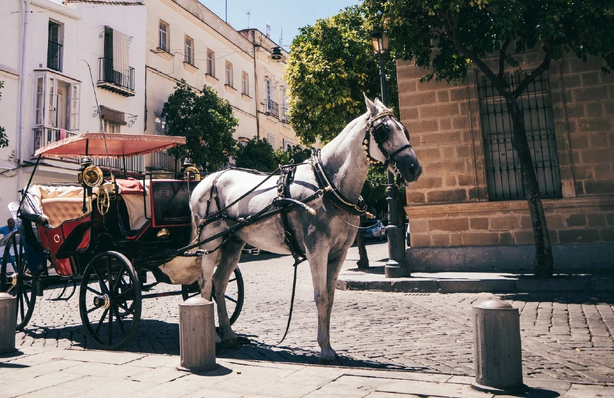 Sherry Tasting Tour of Jerez near Cádiz: horse carriage, bodega visits and Michelin-starred lunch.