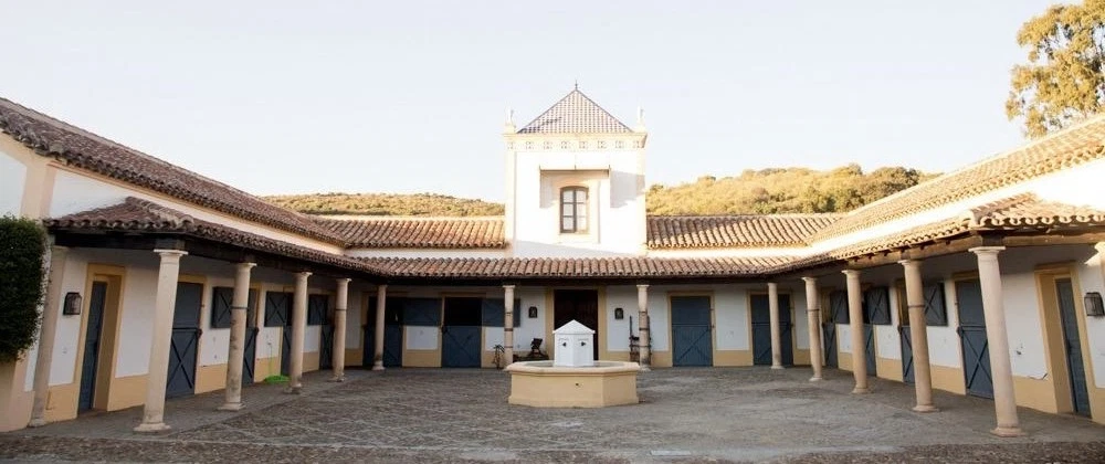 Day Trip from Seville to a historic bull ranch with Toro Bravo heritage, cultural insights, stories.