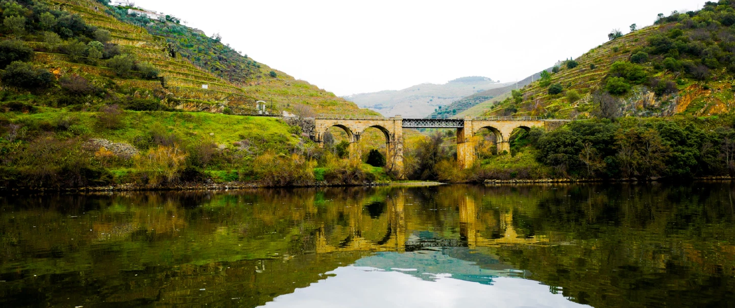 Douro Valley Tour from Porto, including Mateus Palace, honey tasting, vineyard lunch and boat ride.