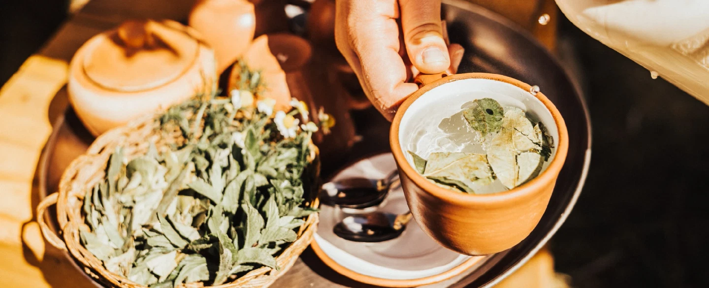 Sacred Valley Ancestral Healing Tour, medicinal plants and lunch with a Quechua community in Pisac.