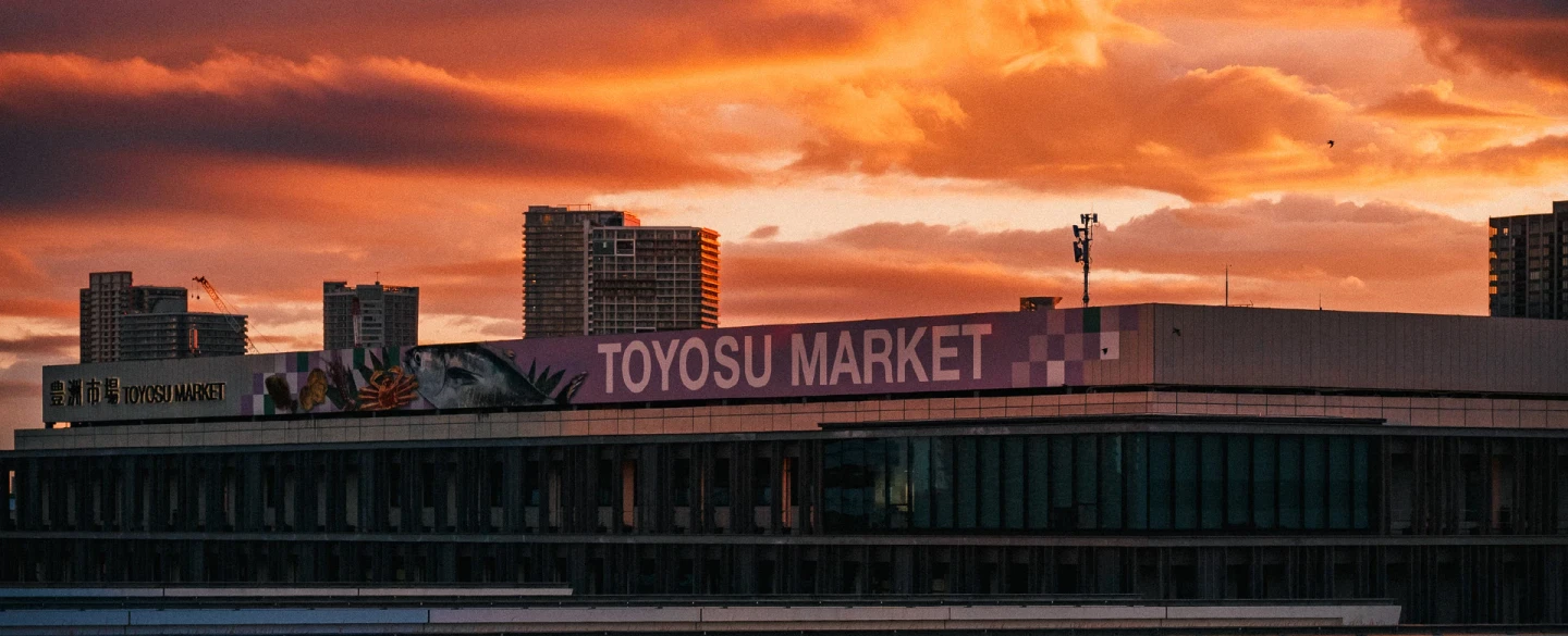 Tokyo fish market tour with a sushi-restaurant owner from Toyosu's tuna auction to Tsukiji's stalls.