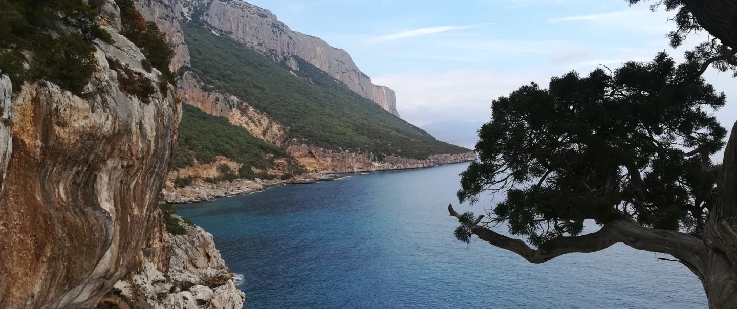 Day Trip in Sardinia’s Blue Zone near Olbia exploring culture, cuisine, and secrets of longevity.