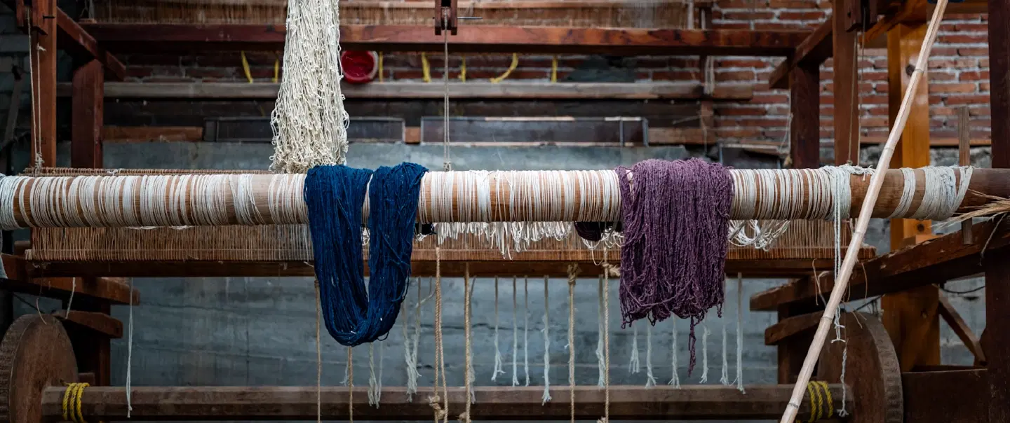 Cultural Tour from Oaxaca with exclusive access to silk weavers & traditional textile craftsmanship.