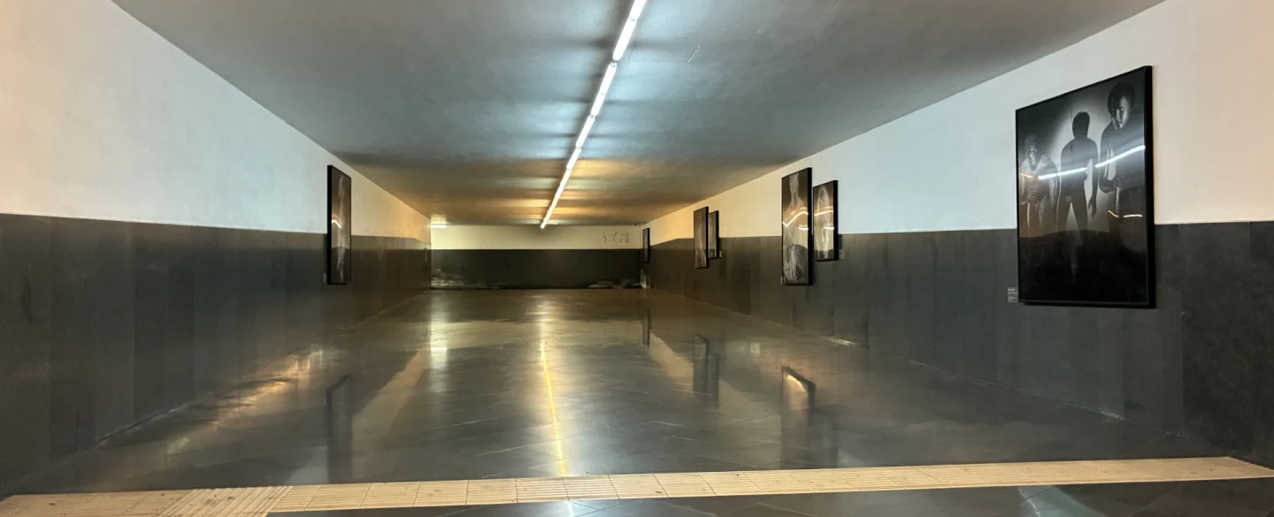 Half-day tour of Naples' art-filled metro stations including world's most beautiful with an insider.