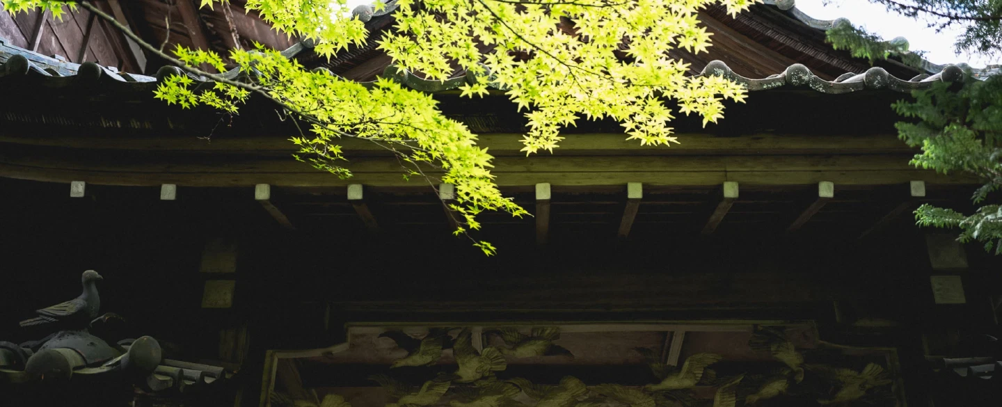 Tea ceremony in a samurai house, craft shops, master sake tasting — in Yamanaka Onsen near Kanazawa.