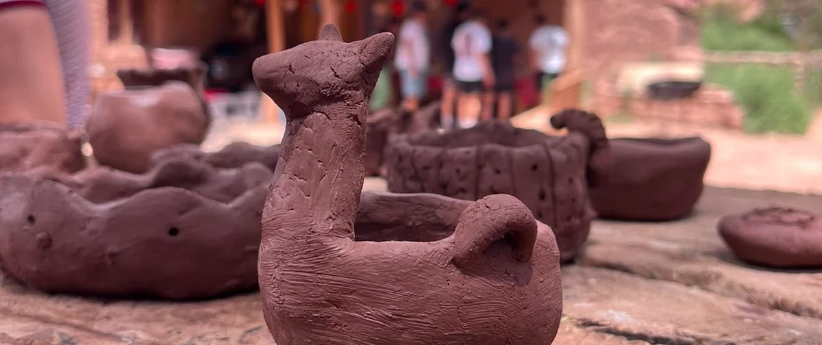 Indigenous Culture Tour from San Pedro de Atacama: llama herding, crafts, Tulor Archaeological Site.