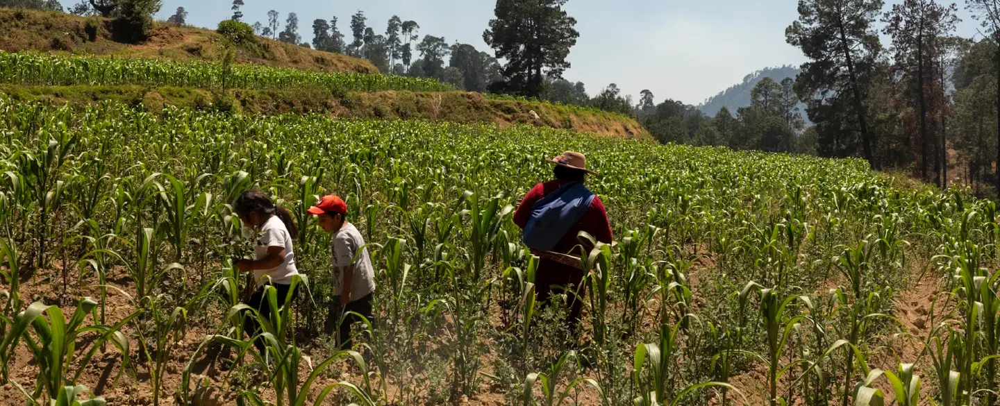 Day Trip from Mexico City to Nahuatl-speaking indigenous community for a living cultural experience.