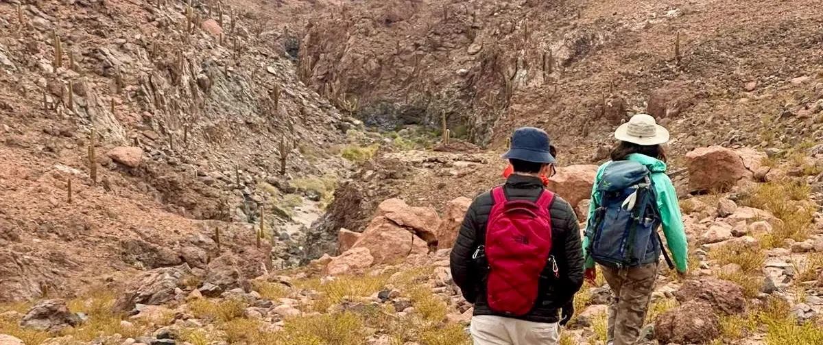 Cactus Canyon Hike near San Pedro de Atacama: volcanic terrain, river crossings, and expert guide.